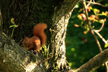 Similar image 7902905