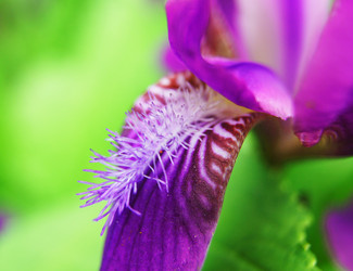 Similar image 7902915