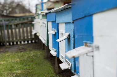 Similar image 7902918