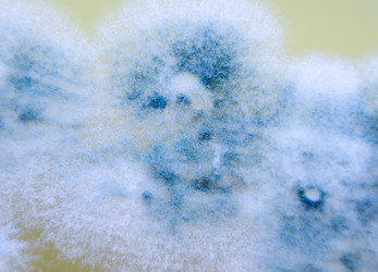 Similar image 7902922