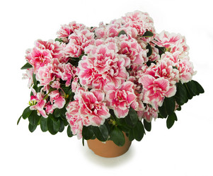 Similar image 7902925