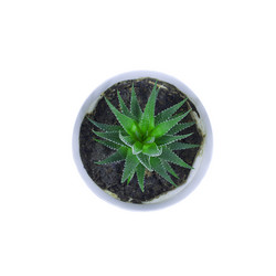 Similar image 7902934