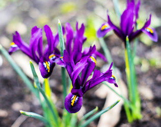 Similar image 7902940