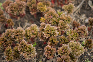 Similar image 7902948