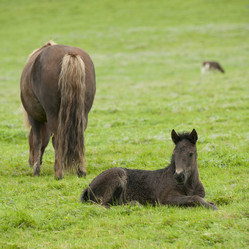 Similar image 7902949