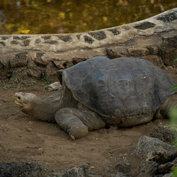 Similar image 7902962