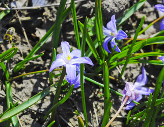 Similar image 7902972