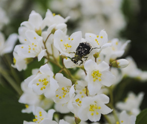 Similar image 7902973