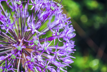 Similar image 7902992