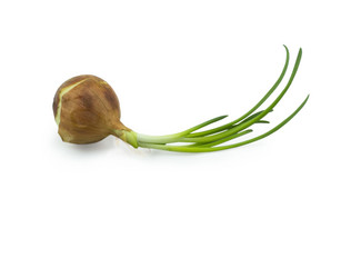 Similar image 7902999