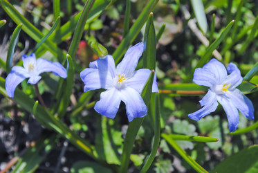 Similar image 7903000