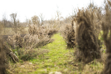 Similar image 7903001