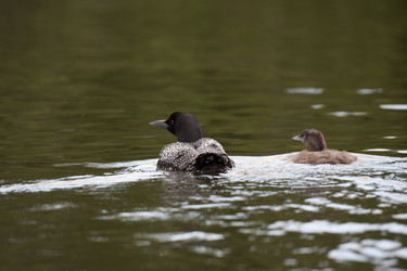 Similar image 7903010