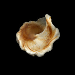 Similar image 7903012