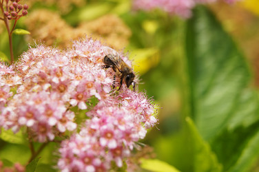 Similar image 7903029