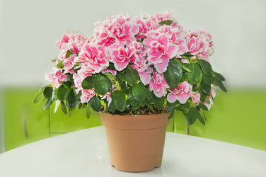 Similar image 7903032