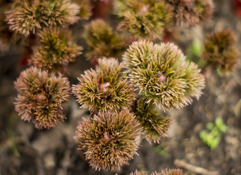 Similar image 7903035