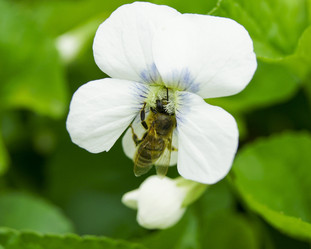 Similar image 7903043