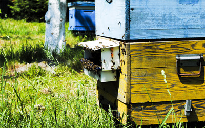 Similar image 7903047