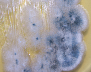 Similar image 7903051