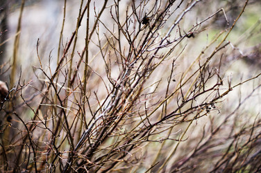 Similar image 7903054