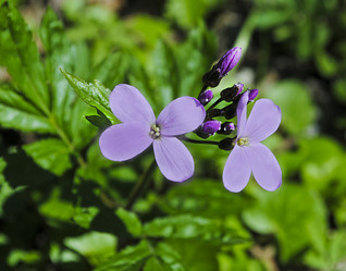 Similar image 7903058