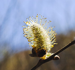 Similar image 7903060