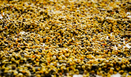 Similar image 7903072