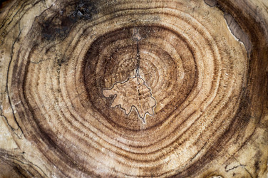 Similar image 7903076