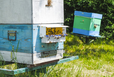 Similar image 7903079