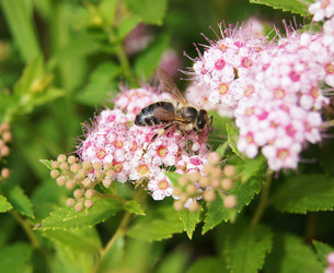 Similar image 7903081