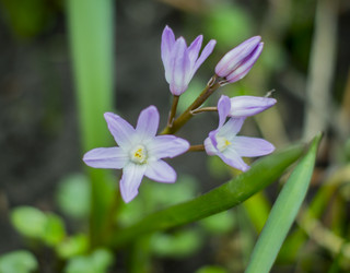 Similar image 7903082