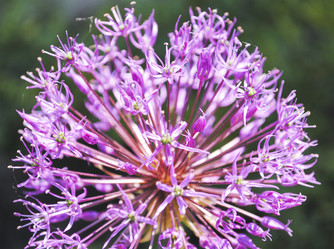 Similar image 7903083