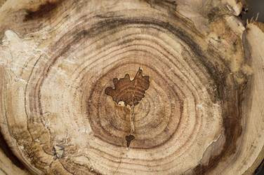 Similar image 7903084