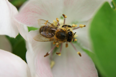 Similar image 7903085