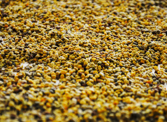 Similar image 7903087