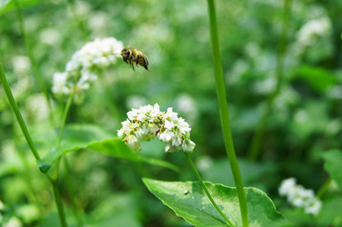 Similar image 7903089