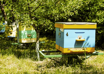 Similar image 7903100