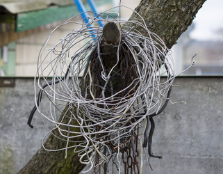 Similar image 7903102