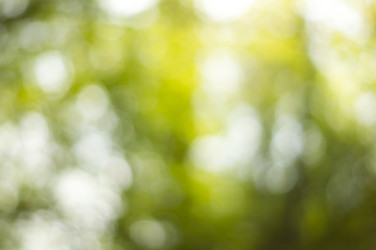 Similar image 7903129