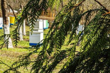 Similar image 7903142