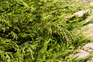 Similar image 7903147