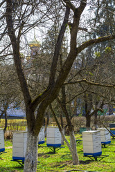 Similar image 7903148