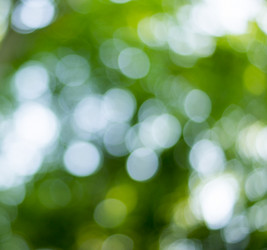 Similar image 7903255