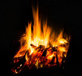 Similar image 7903262