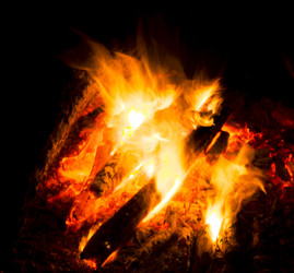 Similar image 7903266