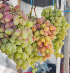 Similar image 7903304