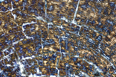 Similar image 7903309