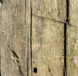 Similar image 7903310