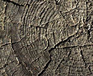 Similar image 7903315